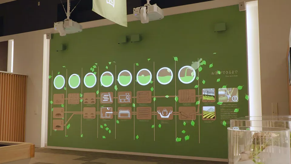 お茶ができるまで